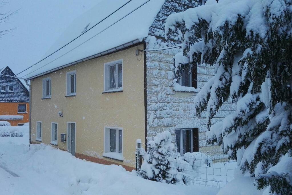 Ferienwohnung In Mittelsaida Grosshartmannsdorf Экстерьер фото